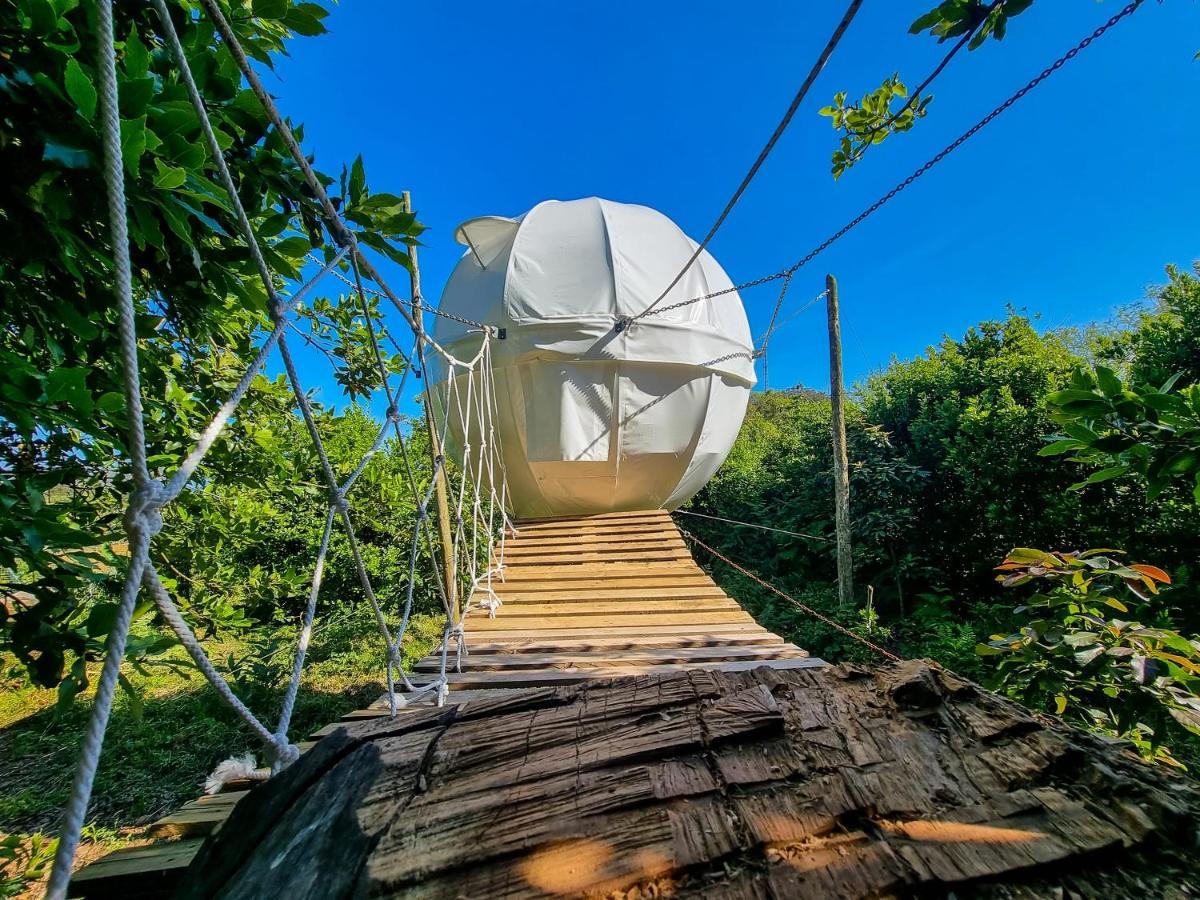 Quinta Do Abacate - Glamping Park Villa Angra do Heroismo Exterior photo