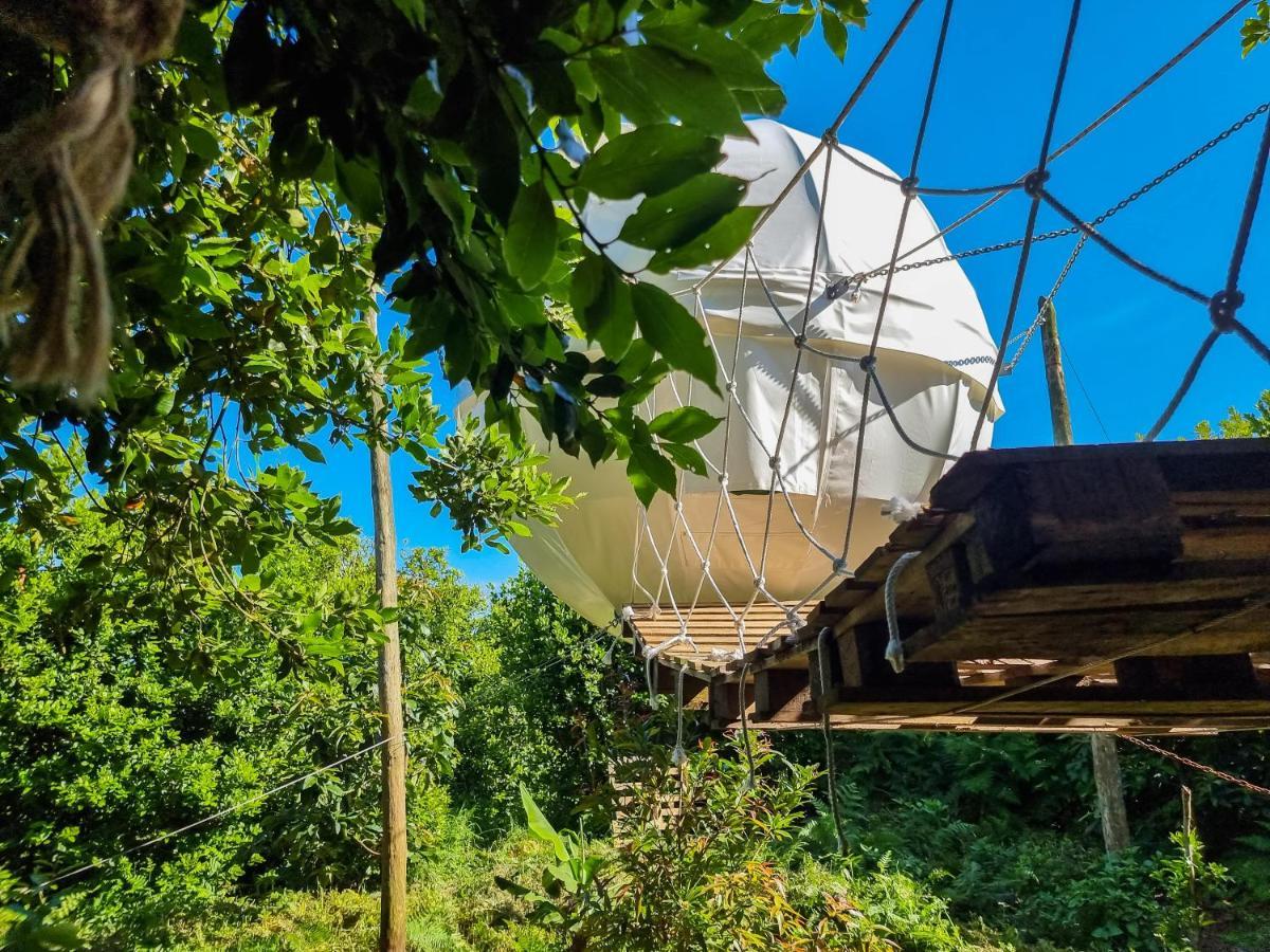 Quinta Do Abacate - Glamping Park Villa Angra do Heroismo Exterior photo